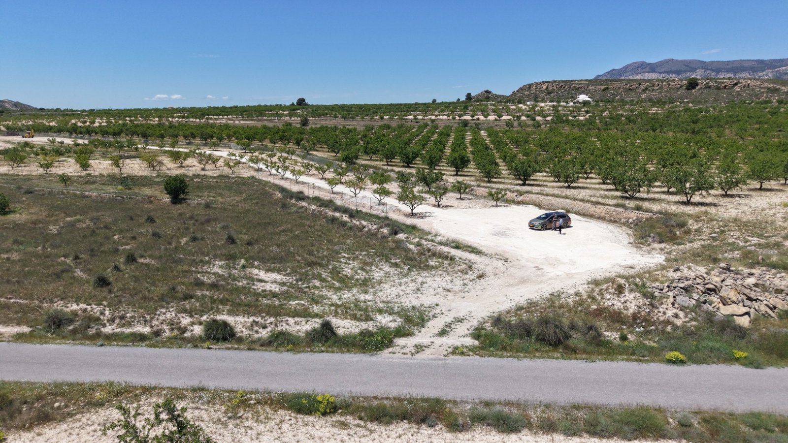 17,589 m² Land in Pinoso - Caza De Casa