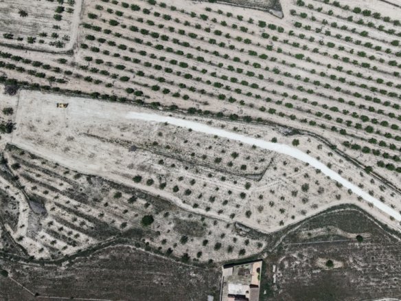 17,589 m² Land in Pinoso - Caza De Casa