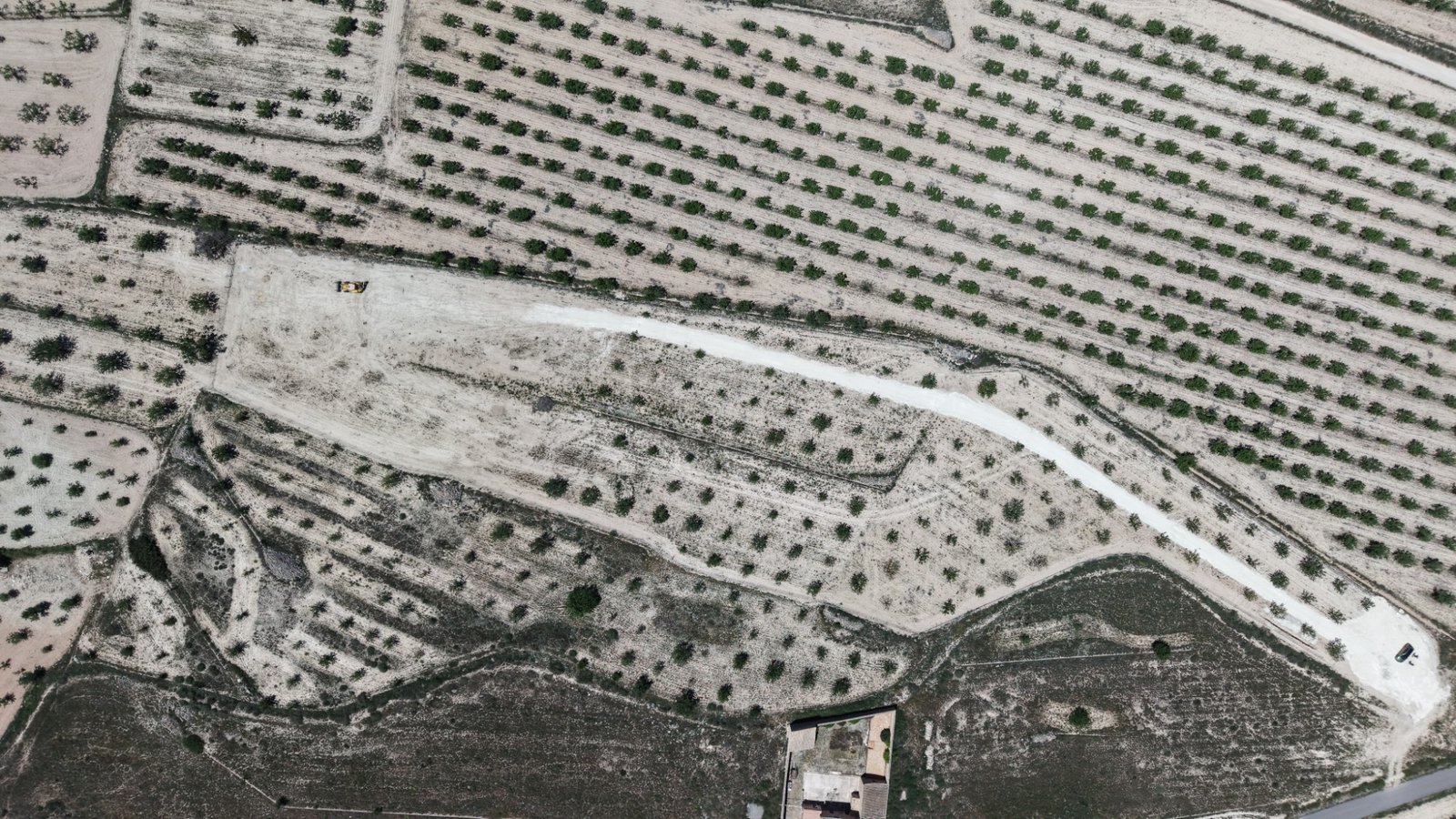 17,589 m² Land in Pinoso - Caza De Casa