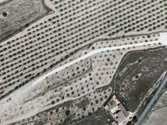 17,589 m² Land in Pinoso - Caza De Casa