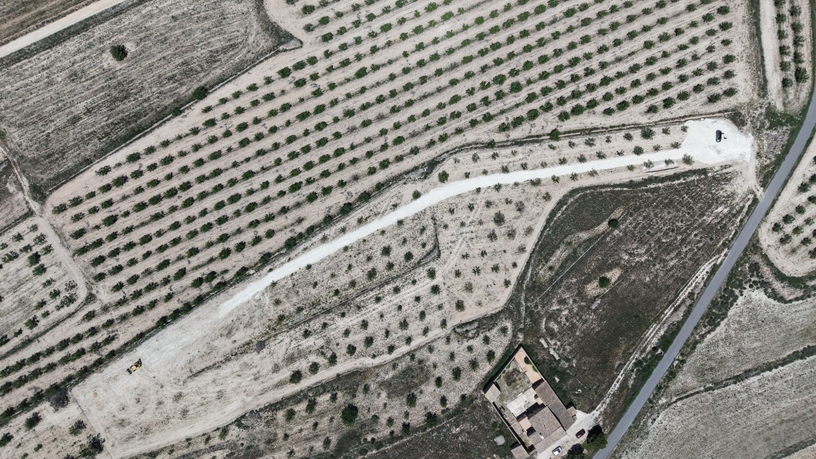 17,589 m² Land in Pinoso - Caza De Casa