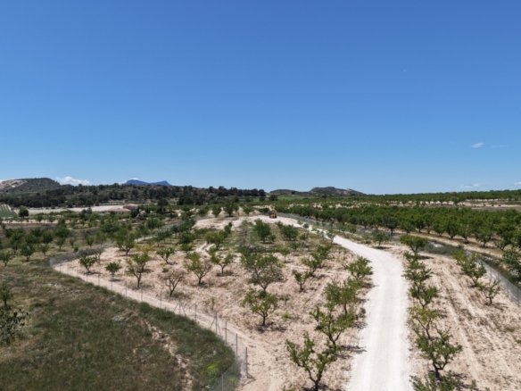 17,589 m² Land in Pinoso - Caza De Casa