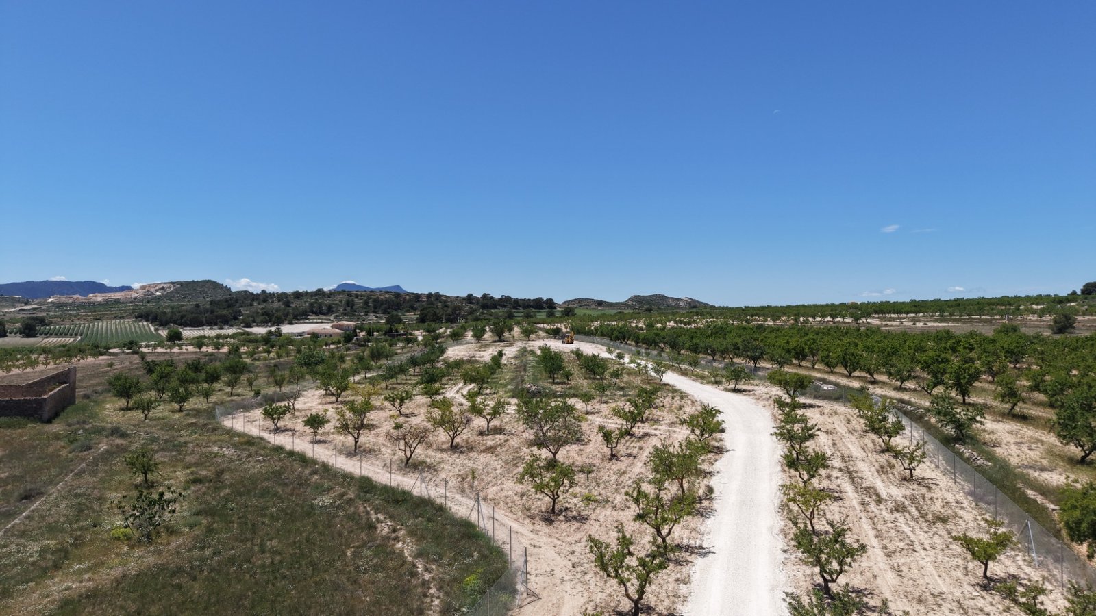 17,589 m² Land in Pinoso - Caza De Casa