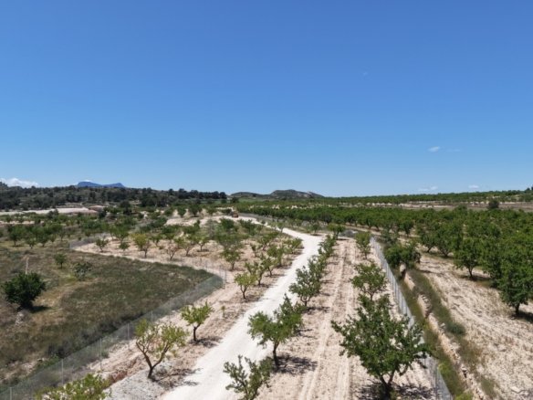 17,589 m² Land in Pinoso - Caza De Casa