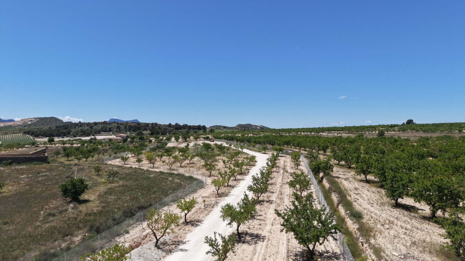 17,589 m² Land in Pinoso - Caza De Casa