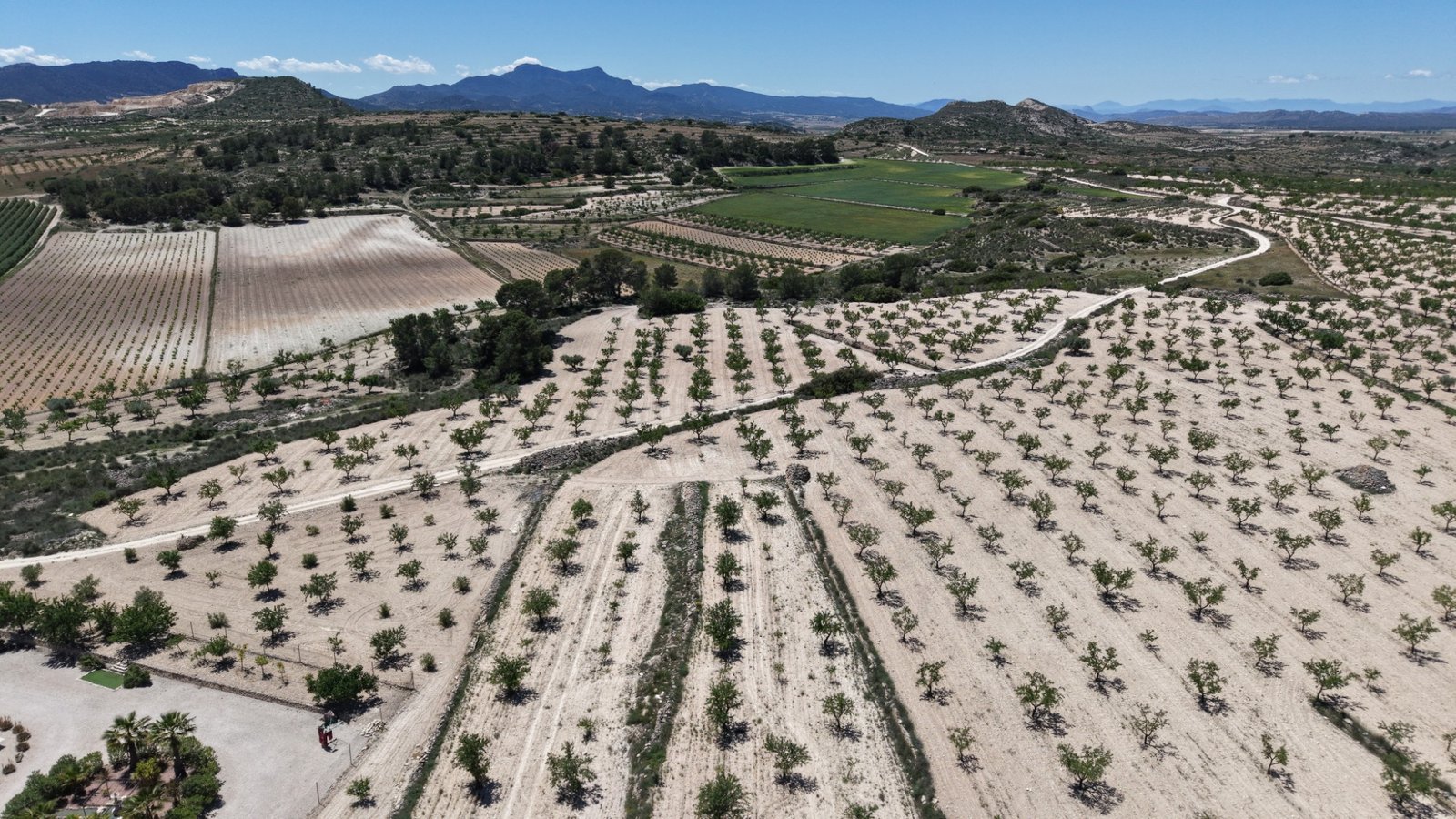 17,589 m² Land in Pinoso - Caza De Casa
