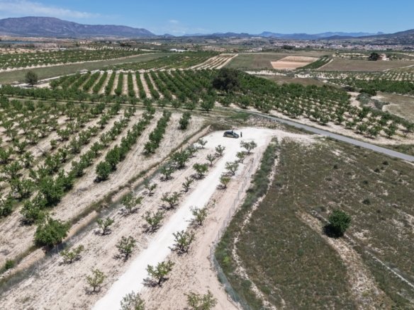 17,589 m² Land in Pinoso - Caza De Casa