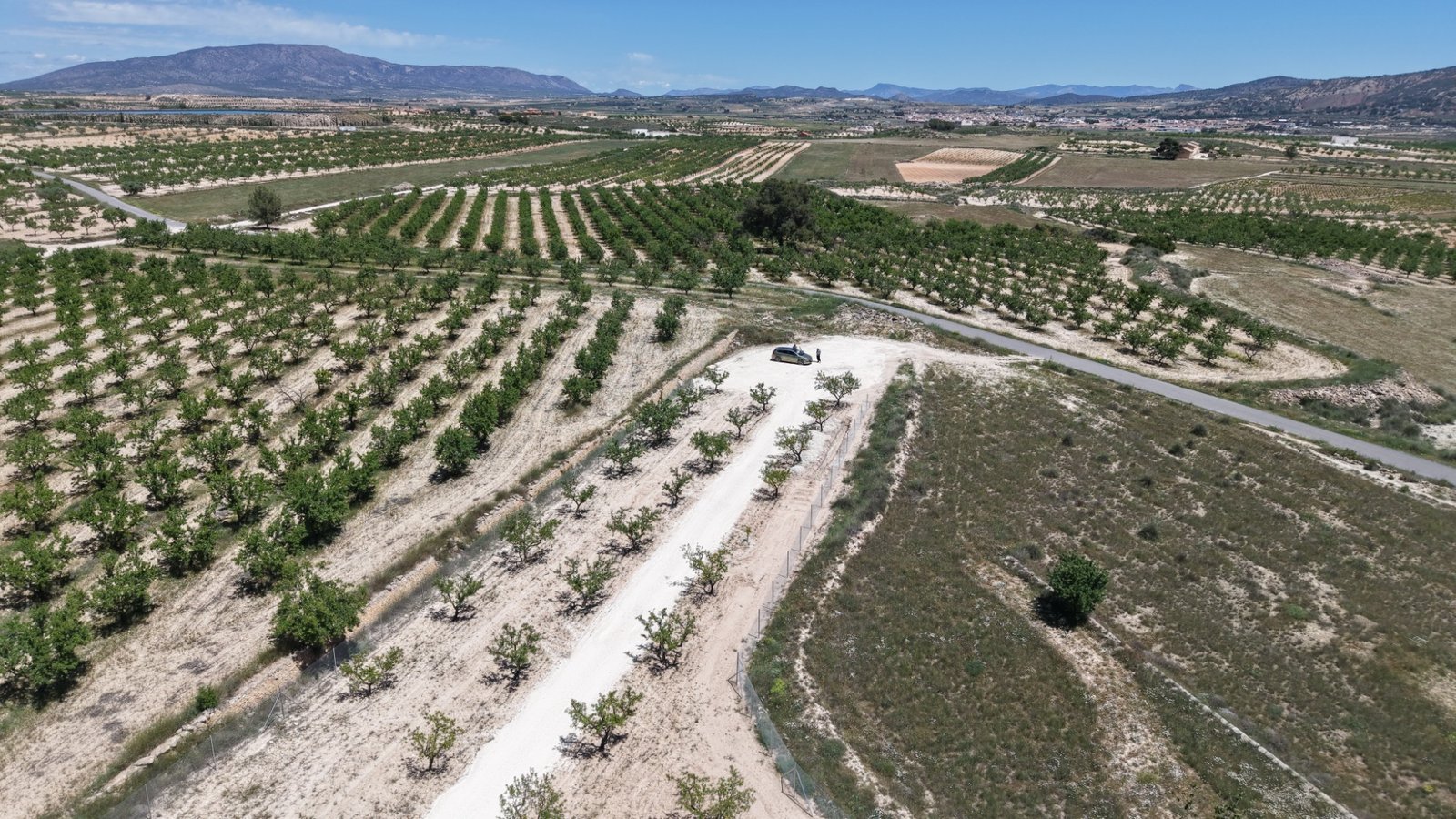 17,589 m² Land in Pinoso - Caza De Casa