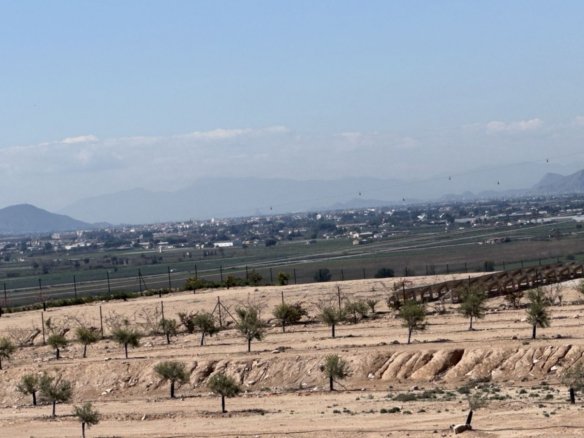 10,000 m² Land in San Fulgencio - Caza De Casa