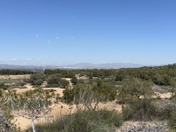 10,000 m² Land in San Fulgencio - Caza De Casa