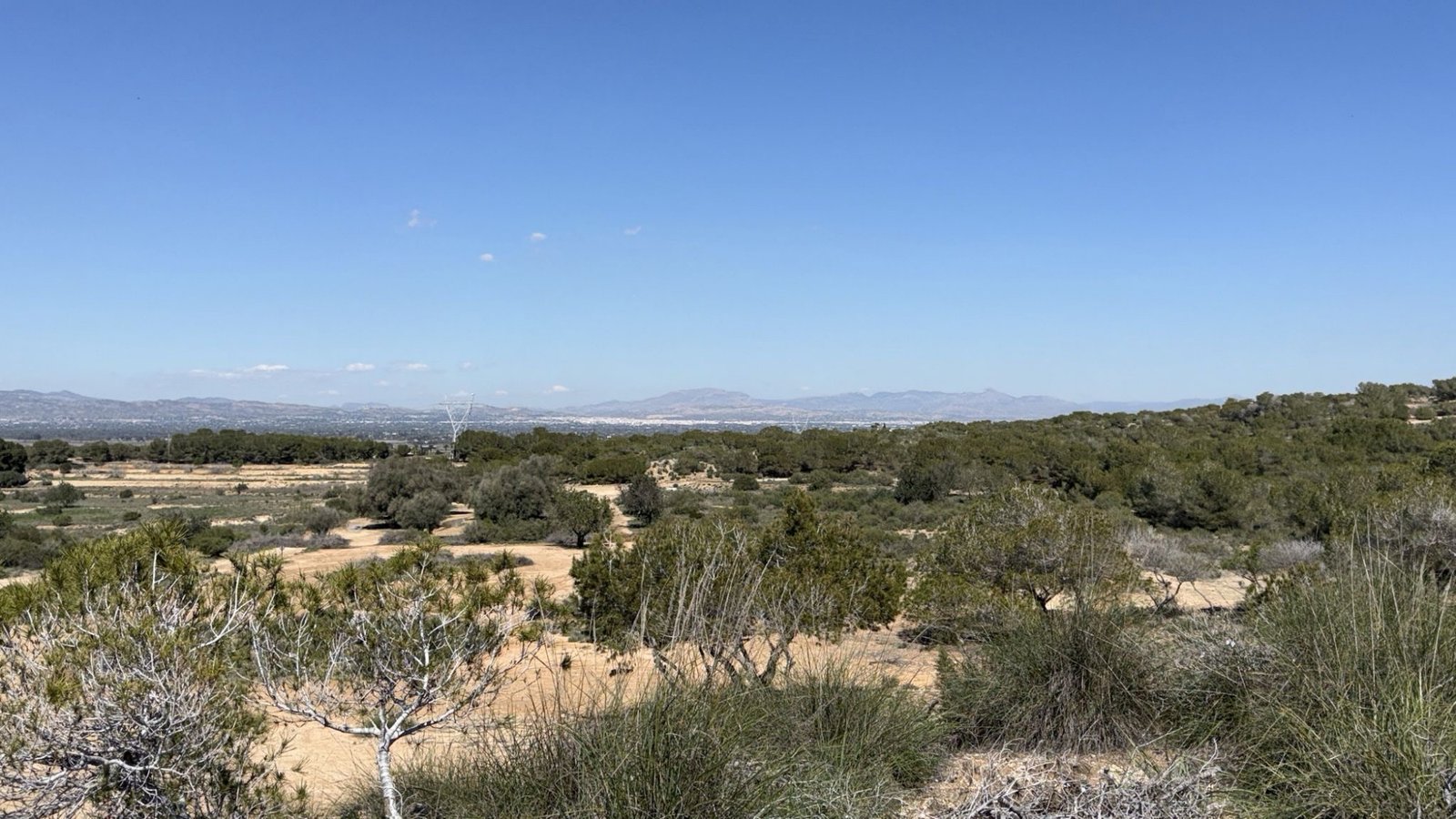 10,000 m² Land in San Fulgencio - Caza De Casa