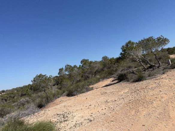 10,000 m² Land in San Fulgencio - Caza De Casa