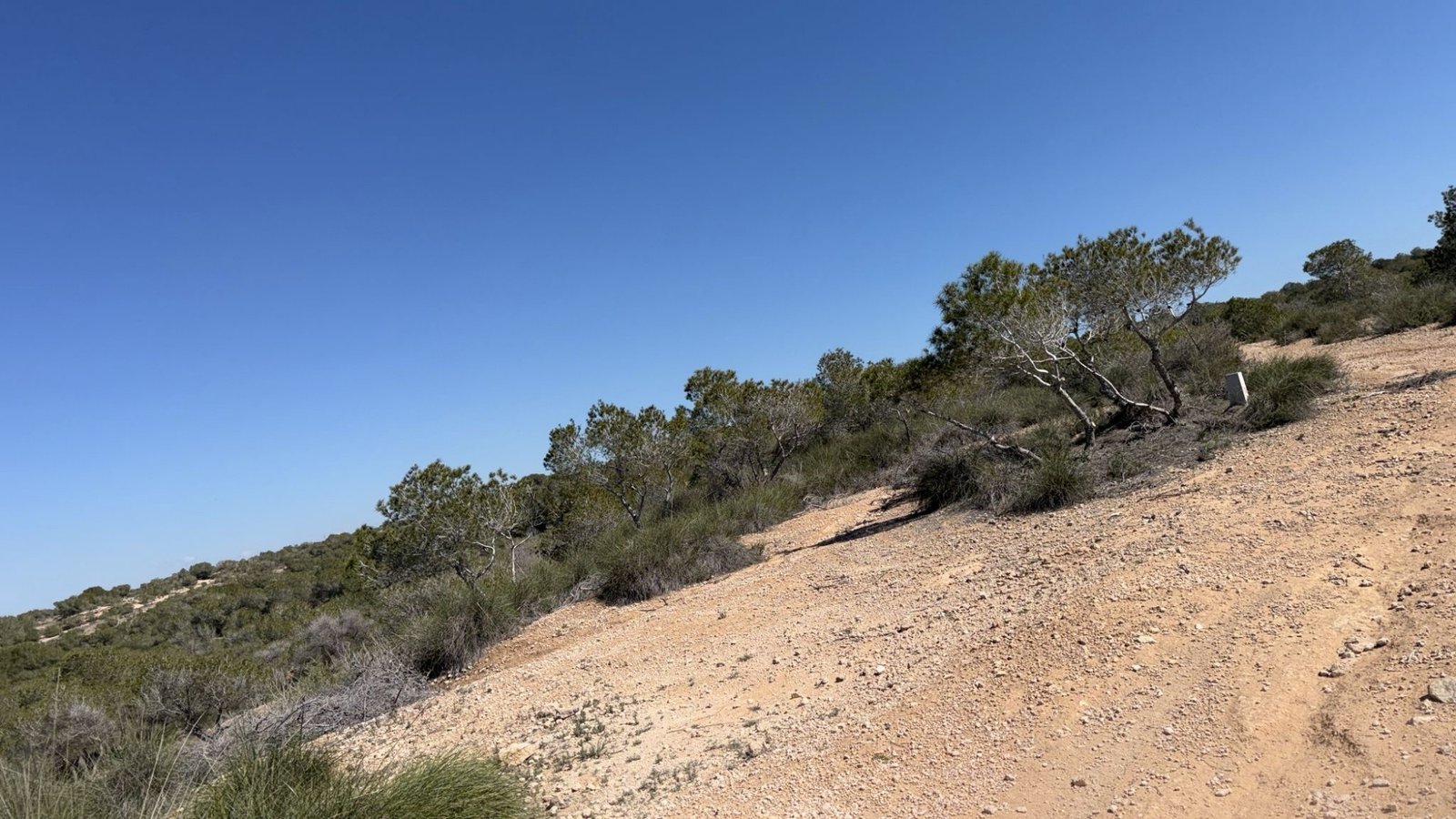 10,000 m² Land in San Fulgencio - Caza De Casa