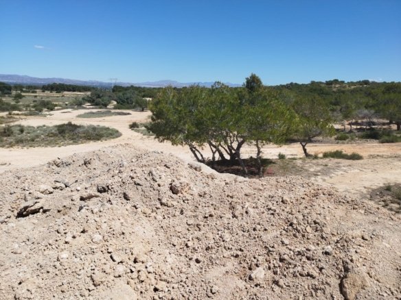 10,000 m² Land in San Fulgencio - Caza De Casa