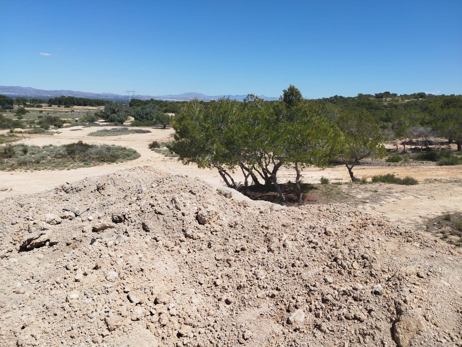 10,000 m² Land in San Fulgencio - Caza De Casa