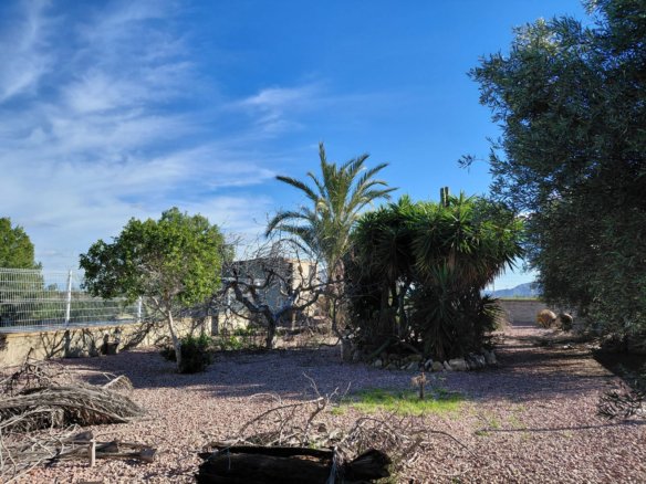 3 Bed 3 Bath Country House in Orihuela - Caza De Casa