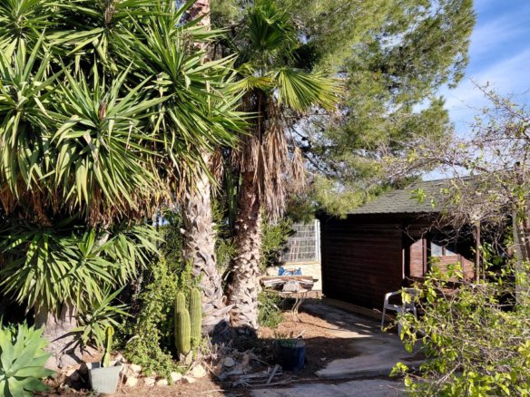 3 Bed 3 Bath Country House in Orihuela - Caza De Casa