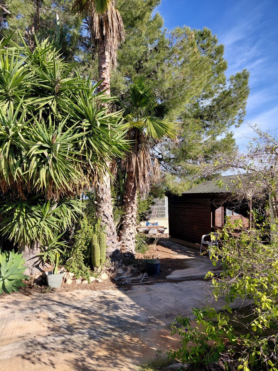 3 Bed 3 Bath Country House in Orihuela - Caza De Casa