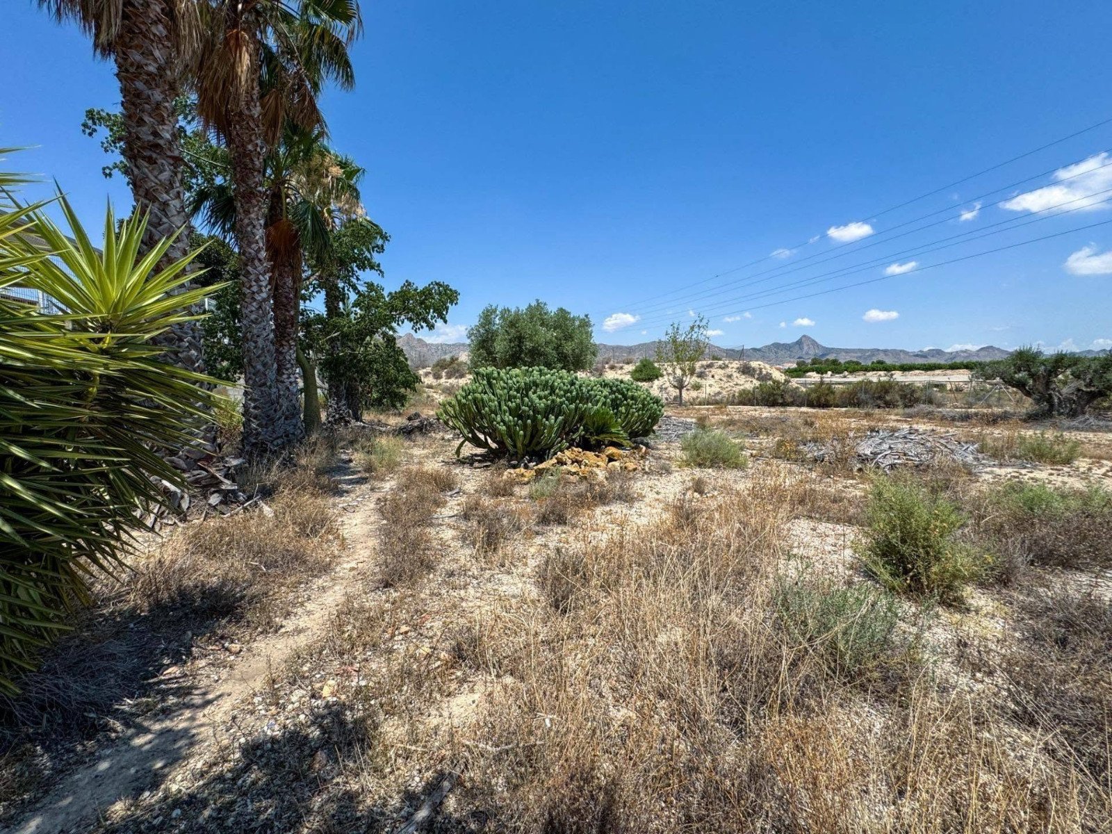 3 Bed 3 Bath Country House in Orihuela - Caza De Casa