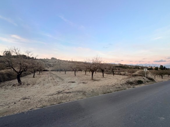13,283 m² Land in Torremendo - Caza De Casa