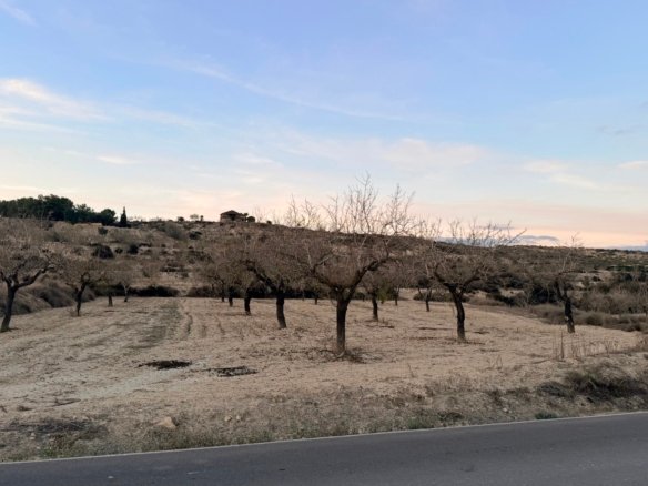 Land in Torremendo - Caza De Casa