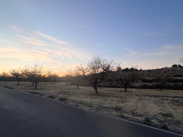 13,283 m² Land in Torremendo - Caza De Casa