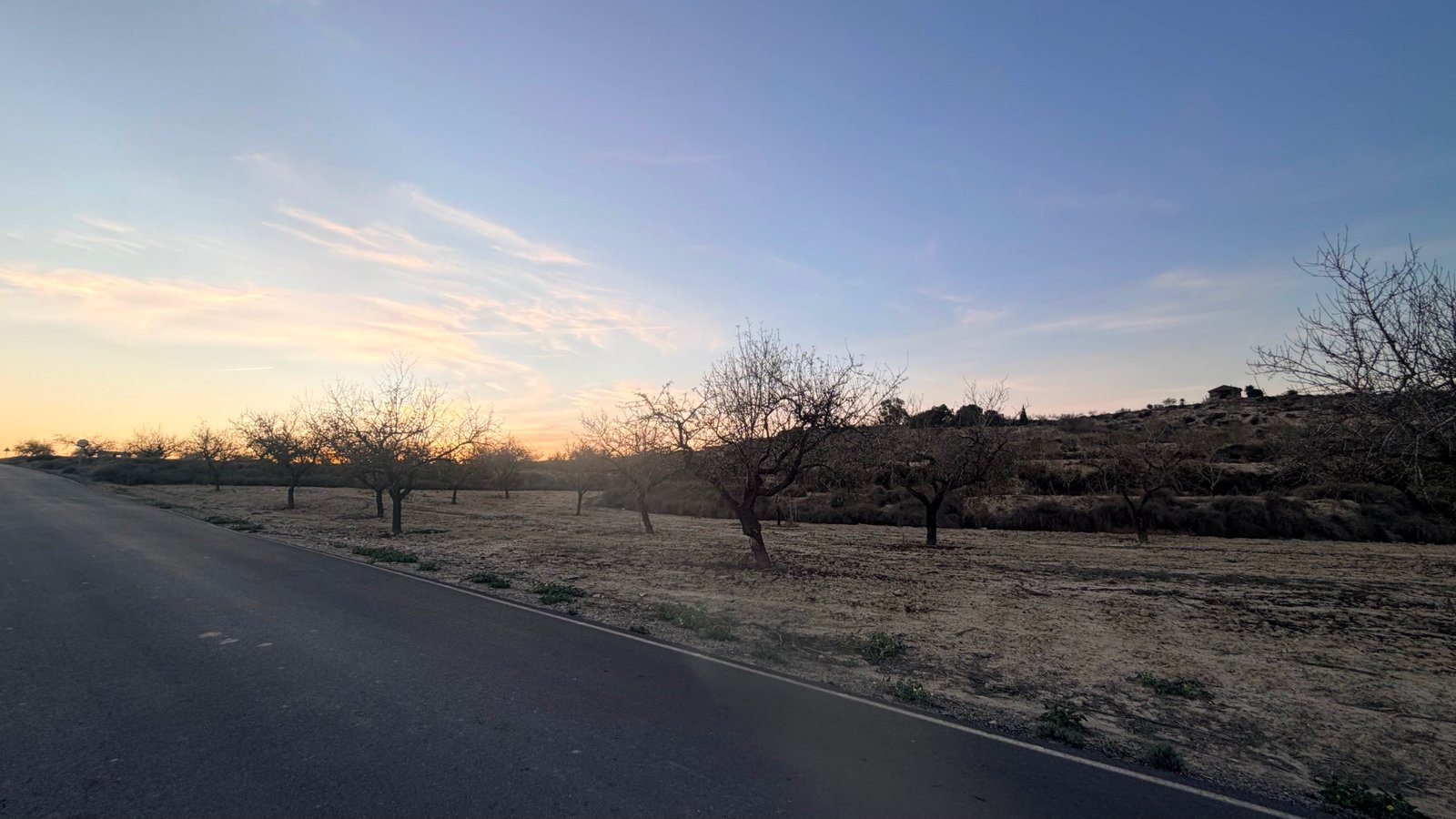 13,283 m² Land in Torremendo - Caza De Casa
