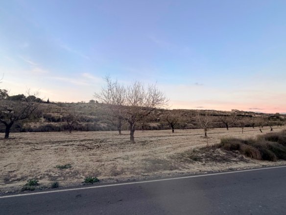 13,283 m² Land in Torremendo - Caza De Casa