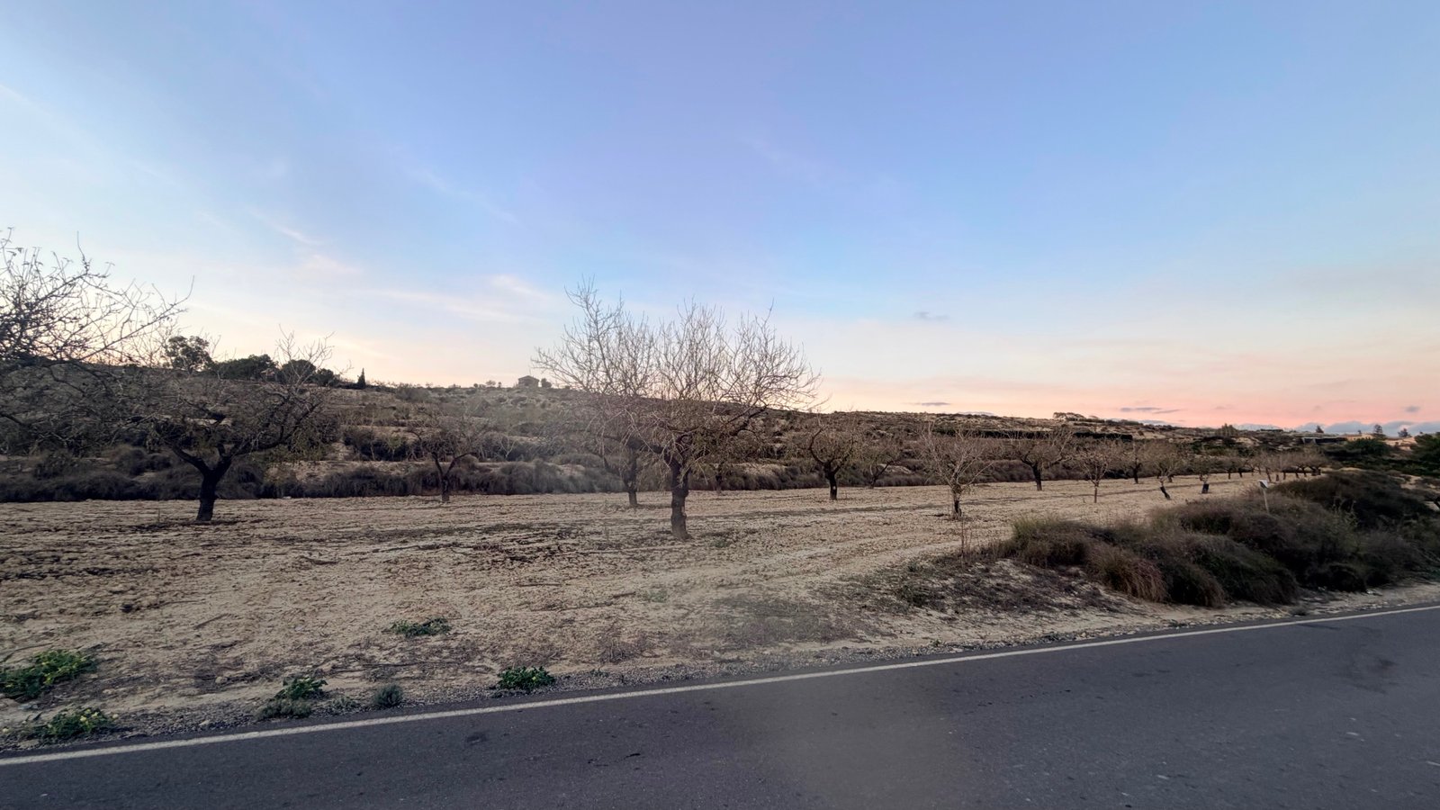 13,283 m² Land in Torremendo - Caza De Casa