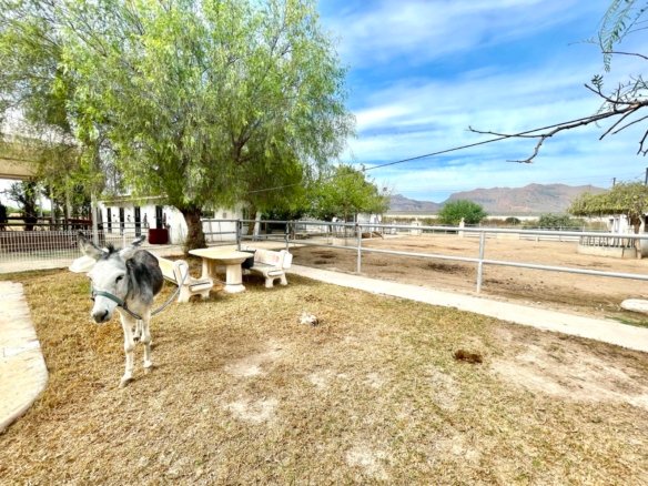 3 Bedroom 2 Bathroom Country House in Orihuela - Caza De Casa