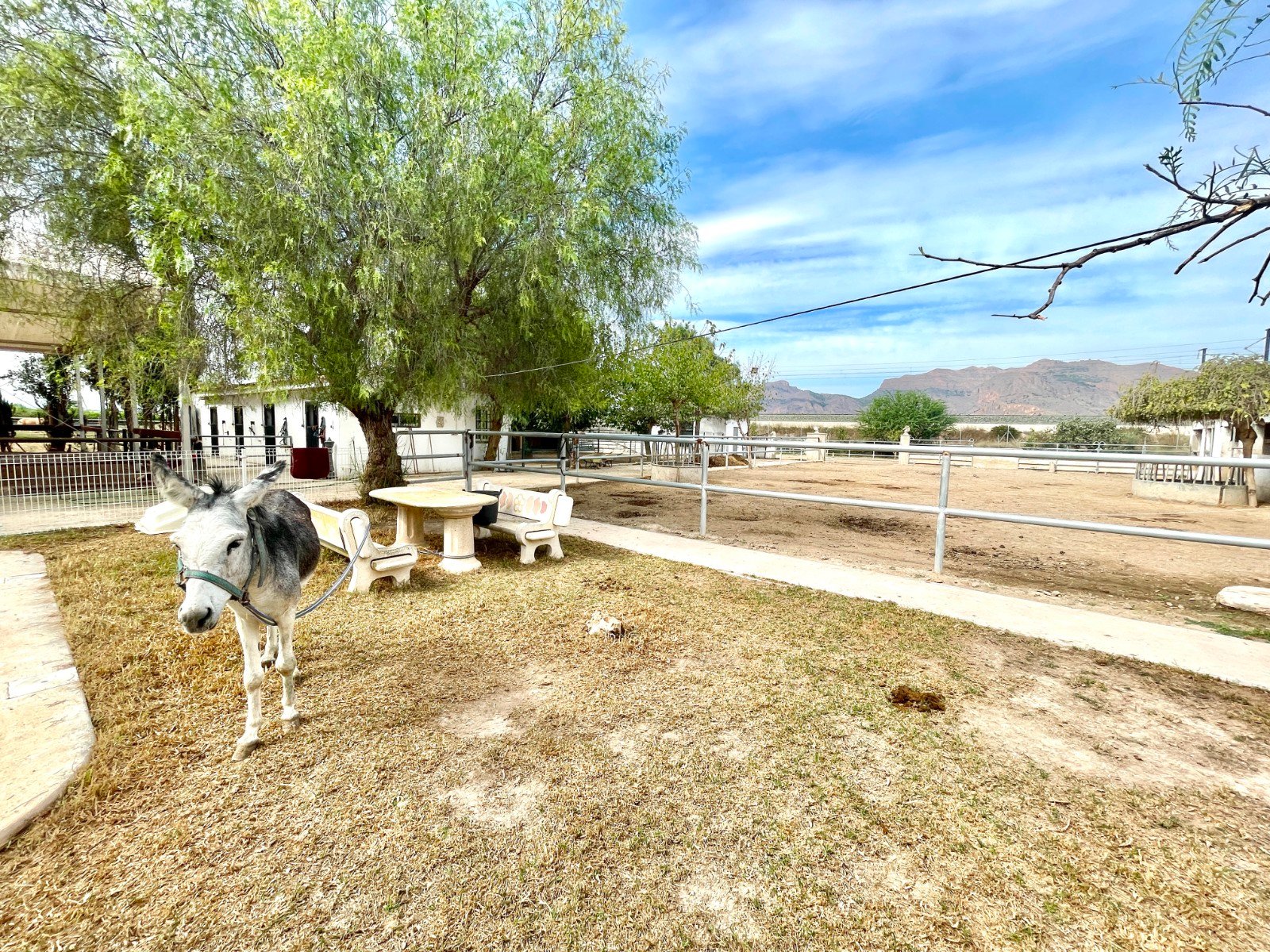 3 Bedroom 2 Bathroom Country House in Orihuela - Caza De Casa