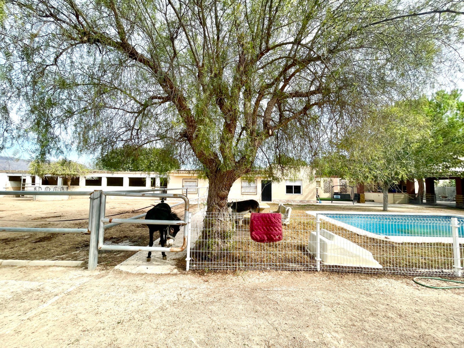 3 Bedroom 2 Bathroom Country House in Orihuela - Caza De Casa