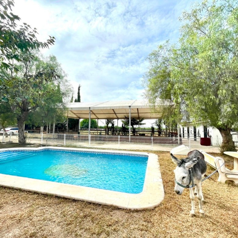 3 Bedroom 2 Bathroom Country House in Orihuela - Caza De Casa