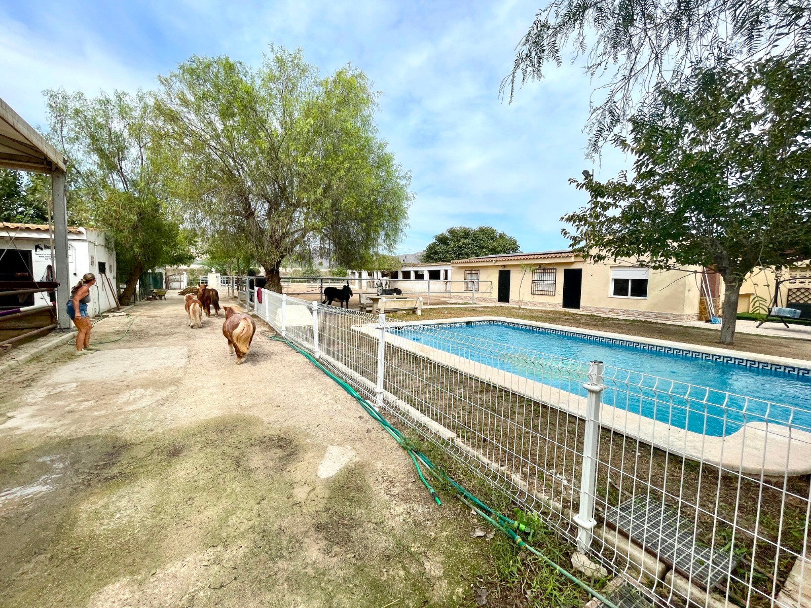 3 Bedroom 2 Bathroom Country House in Orihuela - Caza De Casa