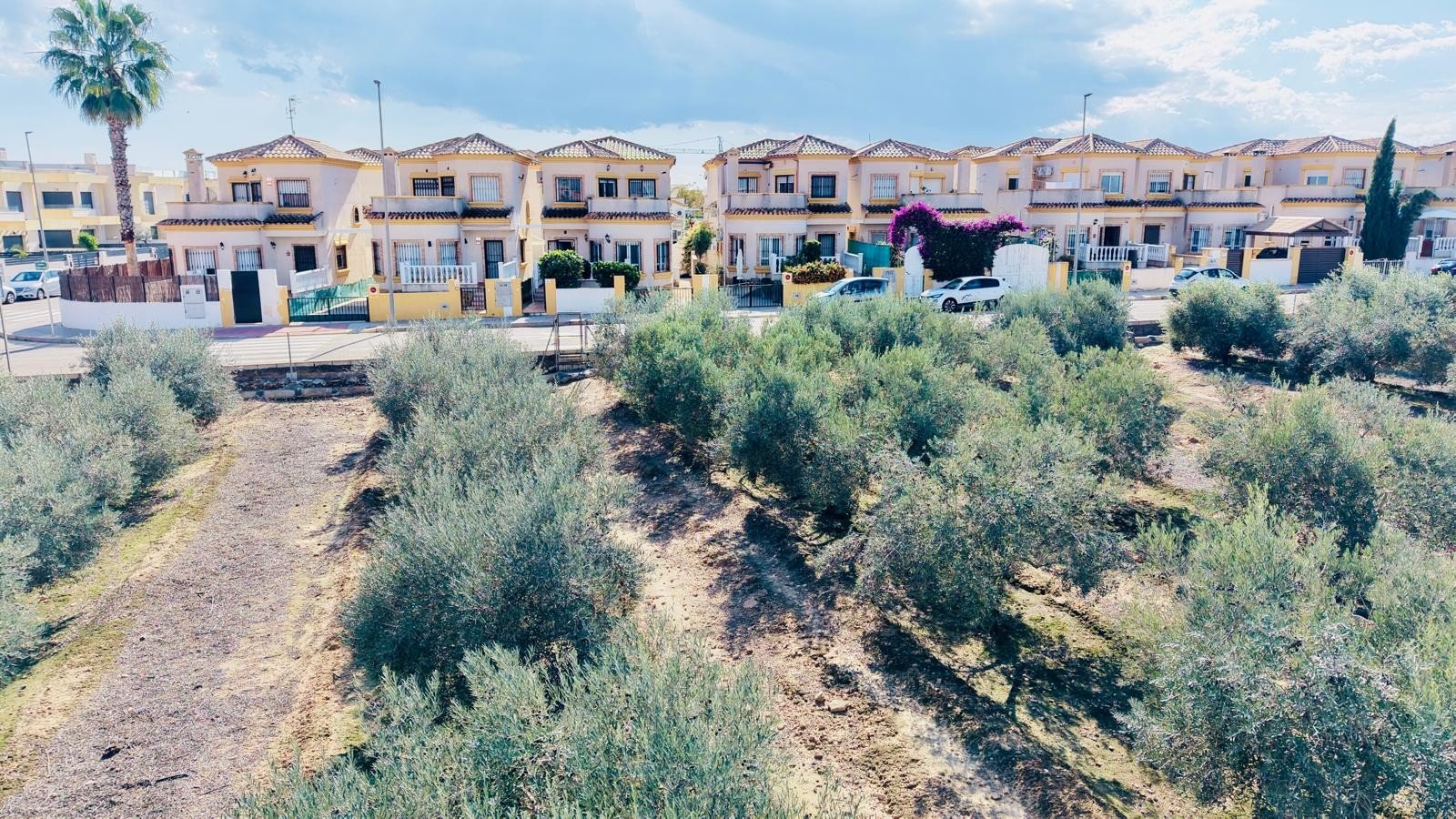 o_1k5hs3ut418cl3ra681jb216ct34 3 Bedroom 2 Bathroom Villa in Los Montesinos - Caza De Casa