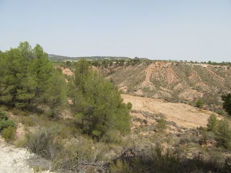 55,000 m² Land in Murcia - Caza De Casa