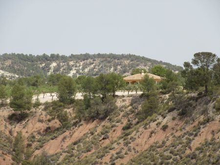 55,000 m² Land in Murcia - Caza De Casa