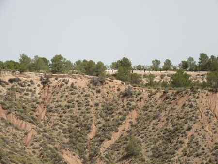 55,000 m² Land in Murcia - Caza De Casa