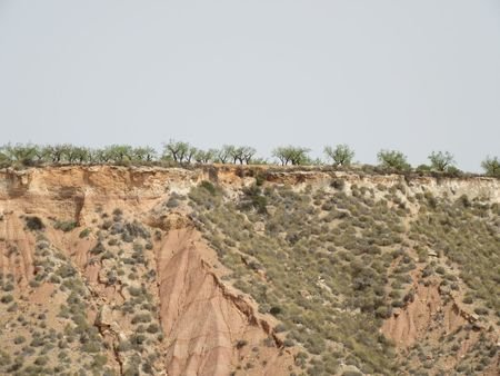 55,000 m² Land in Murcia - Caza De Casa