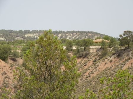 55,000 m² Land in Murcia - Caza De Casa