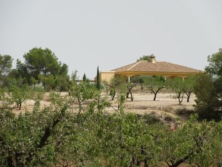 55,000 m² Land in Murcia - Caza De Casa