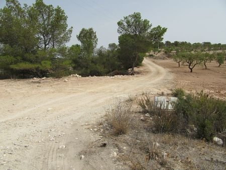55,000 m² Land in Murcia - Caza De Casa