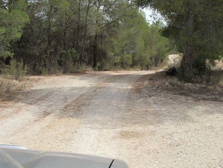 55,000 m² Land in Murcia - Caza De Casa