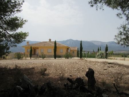 55,000 m² Land in Murcia - Caza De Casa