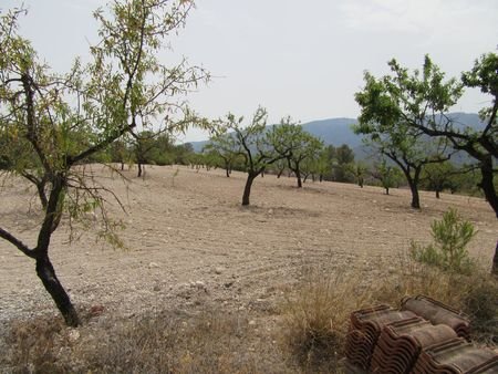 55,000 m² Land in Murcia - Caza De Casa