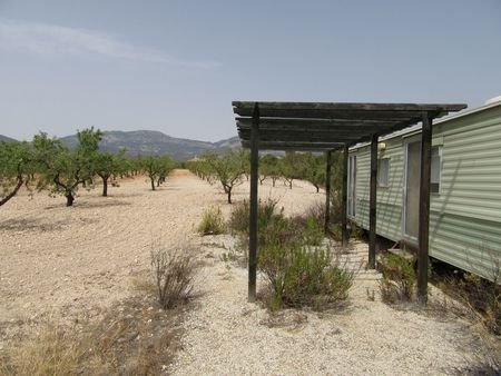 55,000 m² Land in Murcia - Caza De Casa