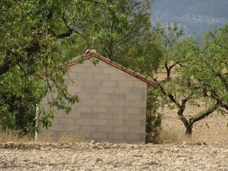 55,000 m² Land in Murcia - Caza De Casa