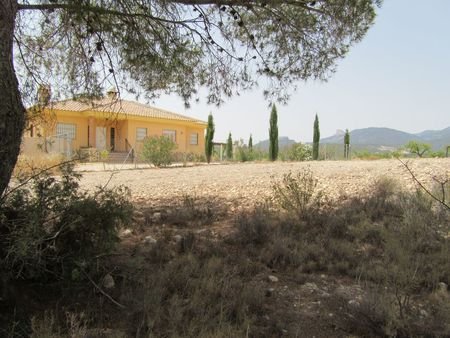 55,000 m² Land in Murcia - Caza De Casa