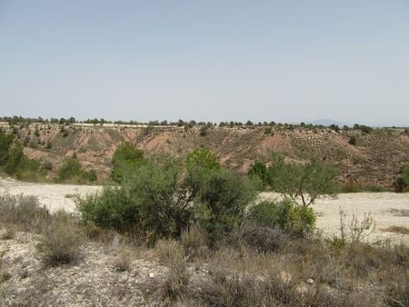 55,000 m² Land in Murcia - Caza De Casa