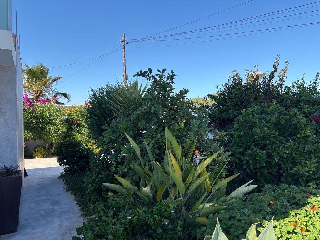 2 Bedroom 2 Bathroom Villa in Torrevieja - Caza De Casa